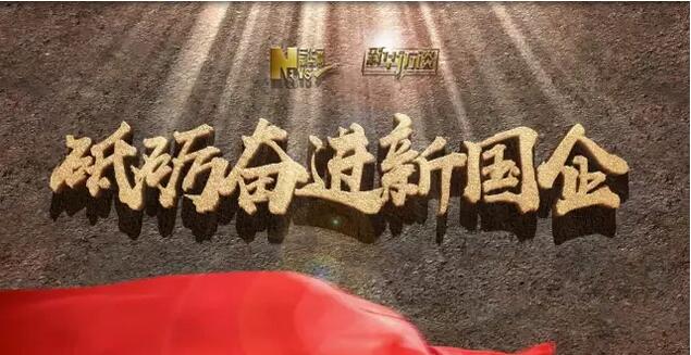 新华网：宋志平：党建做得好的企业，经营得也相当好│砥砺奋进新国企系列访谈20170801