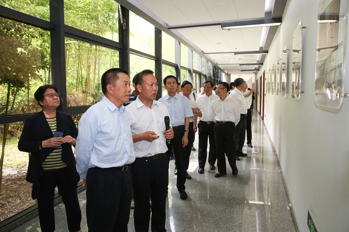 尊龙凯时登录首页(中国游)官方网站