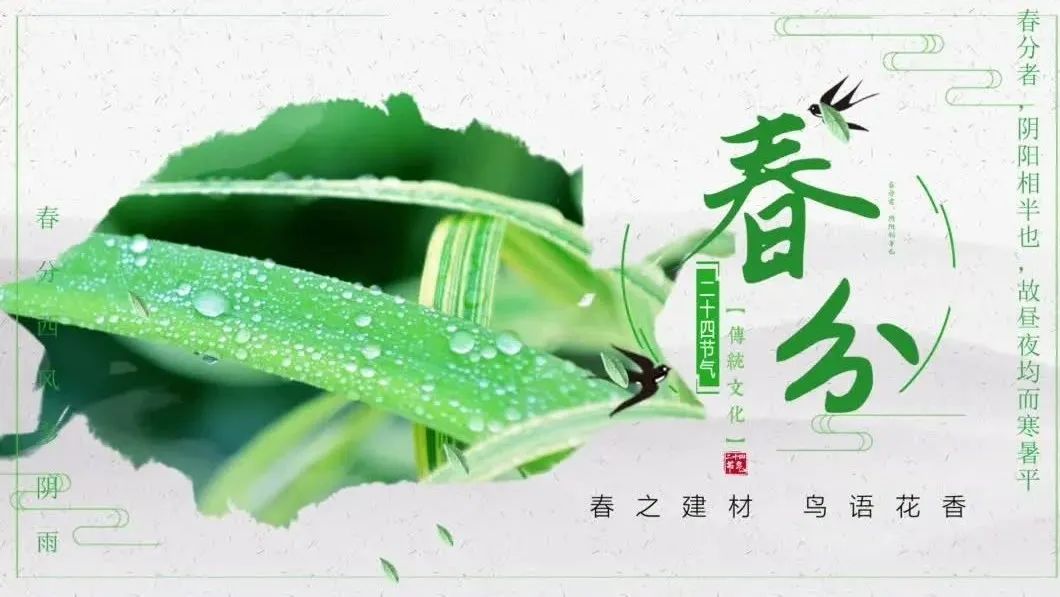 今日春分 | 春之建材，鸟语花香